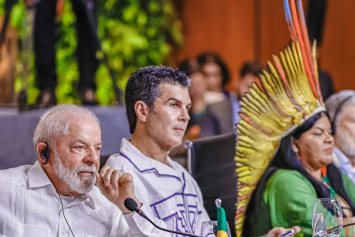 Los países de Amazonia debaten cómo mantener la selva en pie y generar riqueza por medios lícitos | Clima y Medio Ambiente