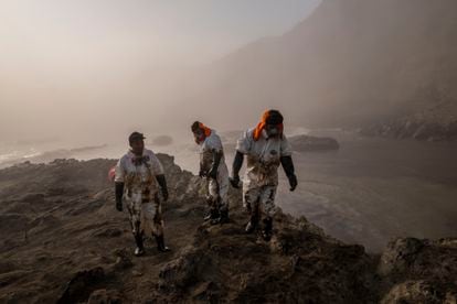 Un grupo de trabajadores en playa Cavero.