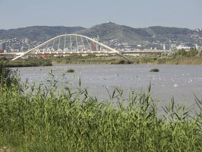 Vista del riu Llobregat amb la ciutat de Barcelona al fons.