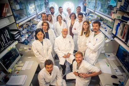 Vaccine research team.  D top to bottom and from left to right: Ezequiel González, José Manuel Honrubia, Carlos Sánchez and Ricardo Requena in the first row.  Diego Muñoz, Ana Esteban, Isabel Sola, Sonia Zúñiga and Jesús Hurtado in the second.  Li Wang, Marga González, Luis Enjuanes, Melisa Bello and Jorgr Ripoll in the third.  Crouching, Alejandro Sanz and Javier Gutierrez.