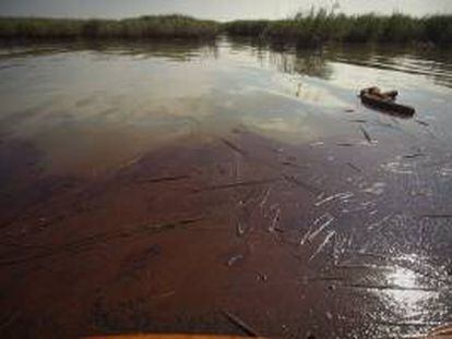 El derrame contaminó inicialmente el río Coca, un afluente del Napo, pero parte de la mancha ya avanzó por este afluente del Amazonas hacia territorio peruano. EFE/Archivo