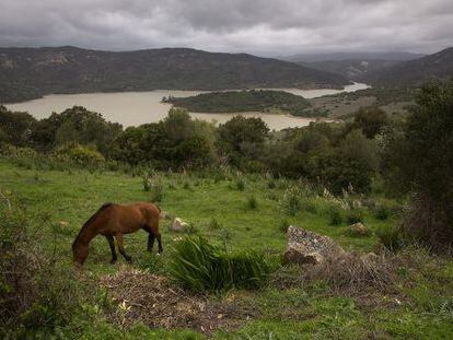 Finca La Almoraima, en Castellar de la Frontera. 