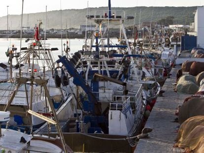 Barcos varados en el puerto de Barbate (Cádiz)