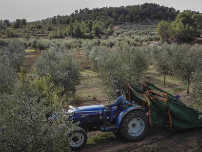 Un agricultor con su tractor en Tarragona.