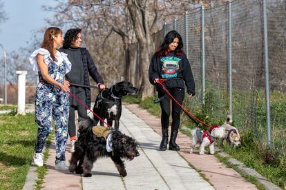 From left to right, Lis and Lenny Luna Victoria and Yuny Peláez, during one of the daily walks with the dogs in Madrid. 