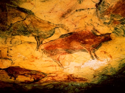 Representación de bisontes en Altamira, Cantabria.