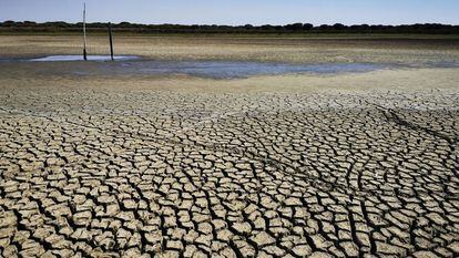 Sequía en municipios de la Sierra de Huelva.