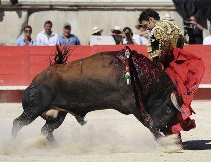 La faena de hoy cierra una corta temporada del diestro, en la que solo se había dejado ver hasta hoy en Badajoz y Huelva. En la imagen, el sexto toro de la mañana, el más complicado, de Victoriano del Río.