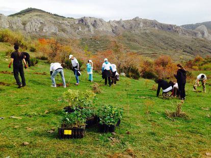 Voluntarios de Gas Natural Fenosa reforestando la Sierra de Guadarrama con especies autóctonas.