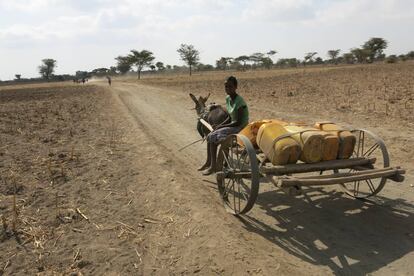 Niña oromo desplazándose al pueblo vecino en búsqueda de agua