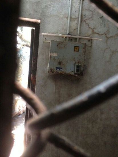 Imagen de las instalaciones eléctricas en el zoológico de Chapultepec, capturada por la exdirectora María Elena Hoyo.