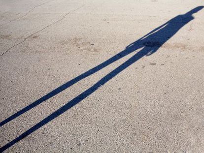 Una sombra aleg&oacute;rica de la anorexia