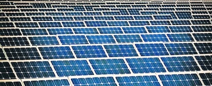 Paneles solares en una planta fotovoltaica.