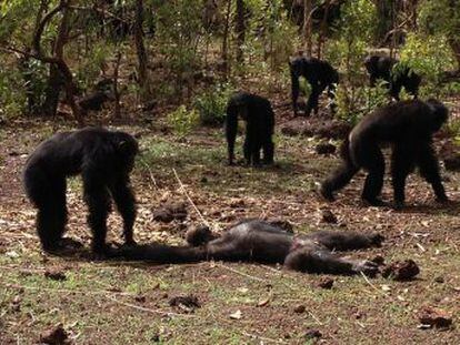 Un grupo asesina al líder derrocado tras regresar del exilio y canibaliza su cadáver