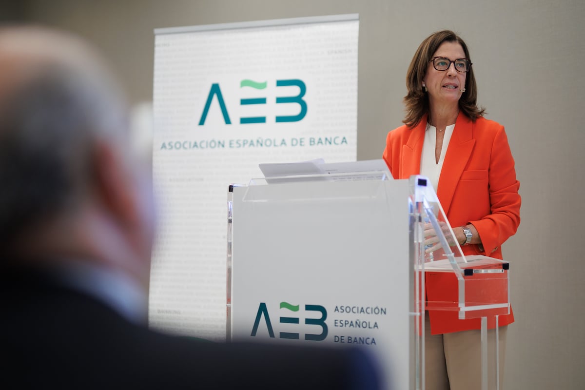 La bancaria patronal AEB apenas «habrá que ver» si las viviendas de la Sareb se ajustan a las necesidades de las familias |  Economía