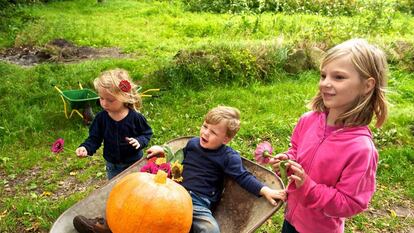 Unos niños juegan con una calabaza, una hortaliza cultivada en buena parte
del mundo.