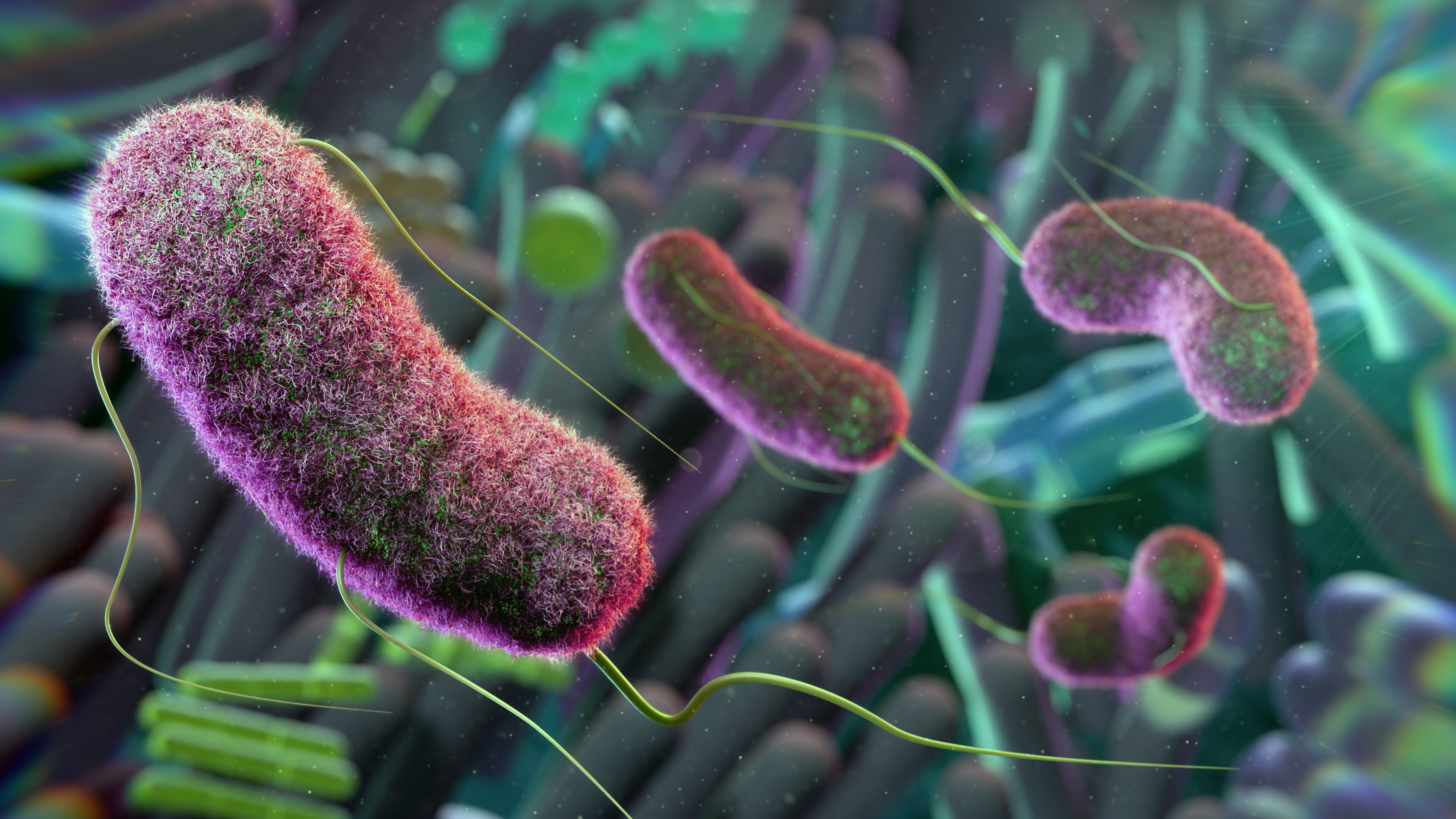 ¿Afecta la microbiota intestinal a las relaciones sociales?