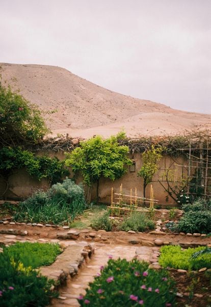 Jardín de la casa de los arquitectos en Agafay.