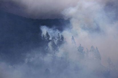 Nube de humo sobre el cerro Erque, en el municipio de Vallehermoso, en la isla de La Gomera.