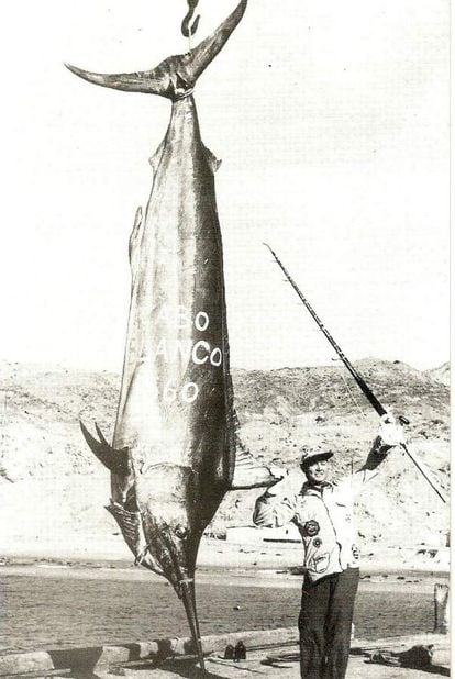 Alfred Glassel con el merlín negro (Makaira indica) de más de 700 kilos que pescó en Cabo Blanco, en 1953.