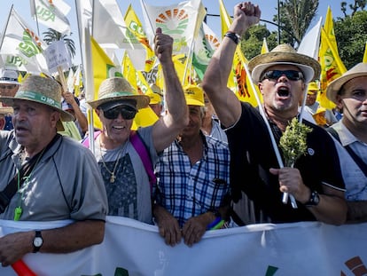 Olivareros andaluces protestan por los precios del aceite de oliva en origen, en Sevilla.