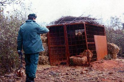 Un guardia civil señala la jaula de un león en la finca de Monterrubio de la Serena (Badajoz).