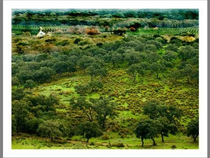 Uno de los parajes de la finca de La Almoraima.