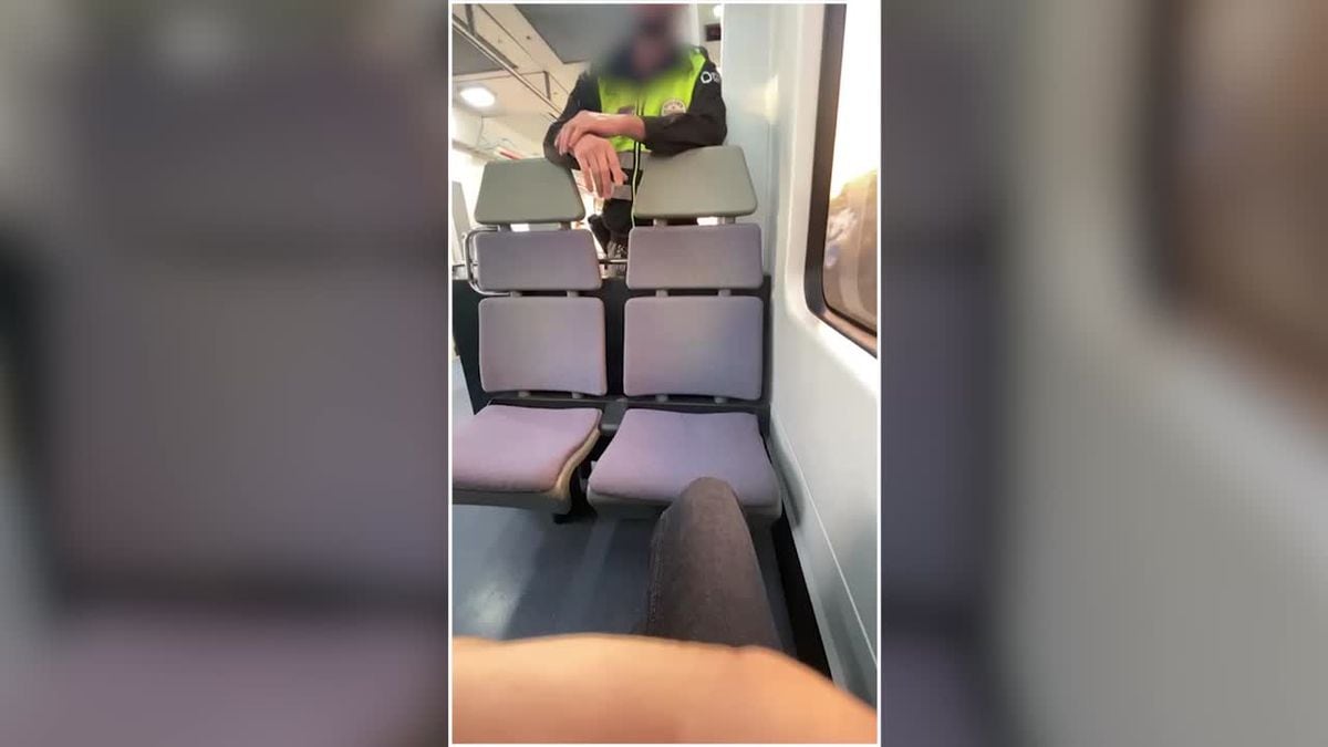 Renfe aparta por acoso a un Vigilante de Seguridad