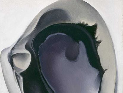 'Almeja y mejillón'. Georgia O'Keeffe, 1926.