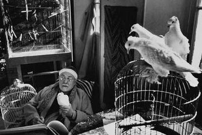 Retrato de Henri Matisse captado en 1943-44 en su villa <i>Le Rêve</i>