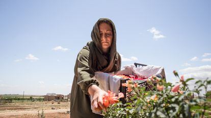 Ezîze, residente de Jinwar, recoge flores para hacer medicinas homeopáticas.