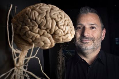 El psicólogo Marcos Nadal, ante una escultura de un cerebro en el Museo de la Ciencia Cosmocaixa de Barcelona.