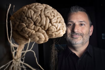 El psicólogo Marcos Nadal, ante una escultura de un cerebro en el Museo de la Ciencia Cosmocaixa de Barcelona.