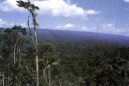 Selva tropical en Ecuador.