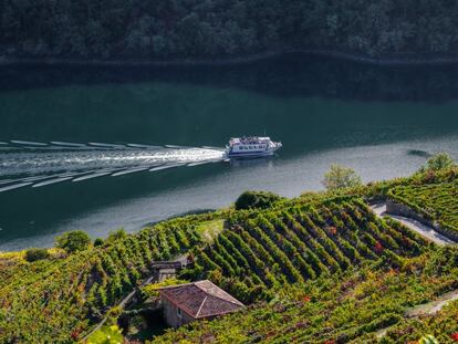 Crucero surcando el río Sil, en la Ribeira Sacra.