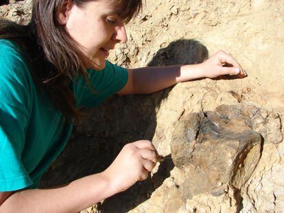 La paleontóloga Begoña Poza, coautora del estudio, excava la pieza 5ANA-78, en el yacimiento ANA (Cinctorres, Castellón).