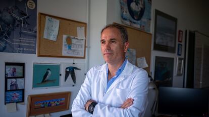 Alfonso Marzal, en su despacho de la universidad de Extremadura.