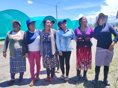 Mujeres de la étnia awajun participan en la producción de la plántulas en el vivero de Shampuyacu. 
