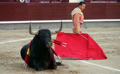 Rafaelillo, en un momento de la lidia de su primer toro en Las Ventas. Compartió cartel con Javier Castaño, Serafín Marín con toros de la ganadería de Miura.