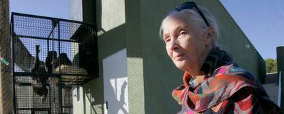 Jane Goodall, esta mañana, durante la inauguración del centro de primates de Villena.