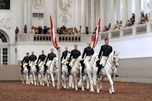 La Escuela española de equitación de Viena.