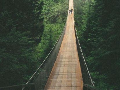 Es un puente colgante a 70 metros de altura que cruza 135 metros sobre el río Capilano en medio de un bosque.