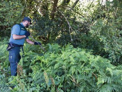 La Guardia Civil mantiene un discreto operativo de rastreo en A Pobra do Caramiñal pero amplía la búsqueda más allá de Galicia