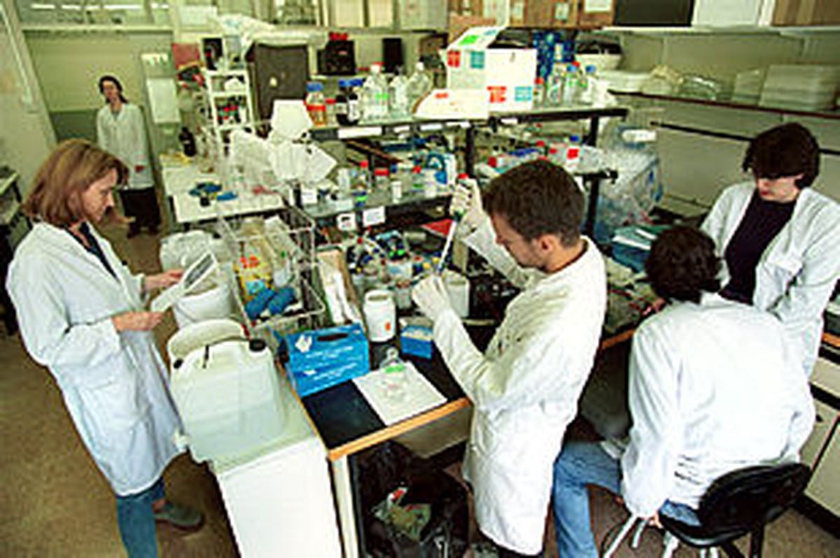 Equipo De Veterinarios En Un Laboratorio De La Facultad De Veterinaria ...