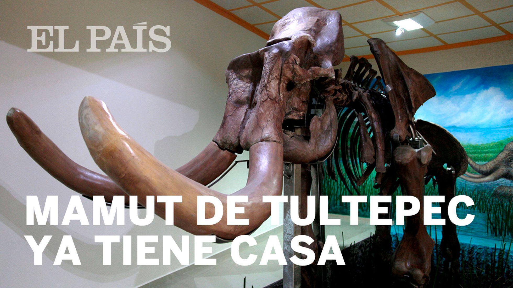 Con el mamut, la arqueología llegó a Tultepec | La serpiente emplumada | EL  PAÍS