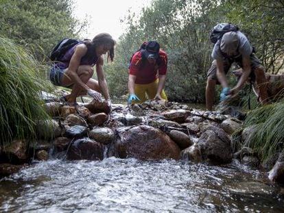 Miembros de la Plataforma SOS Pedriza limpian el r&iacute;o Manzanares.