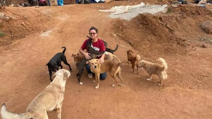 Guillermina Galván junto a un grupo de perros, en su refugio en Ensenada (México), en una imagen de sus redes sociales.