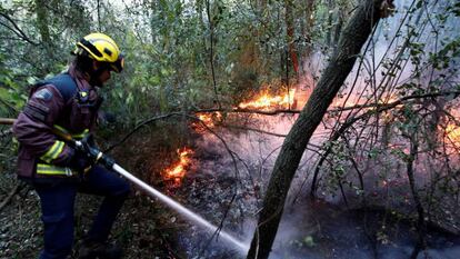 Dotaciones de bomberos trabajan desde la pasada madrugada en la extinción de tres incendios en Bizkaia.