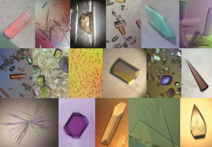 Mosaico de cristales biológicos.