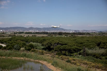 Un avión sobrevuela el delta del río Llobregat, al lado del aeropuerto de El Prat de Barcelona.